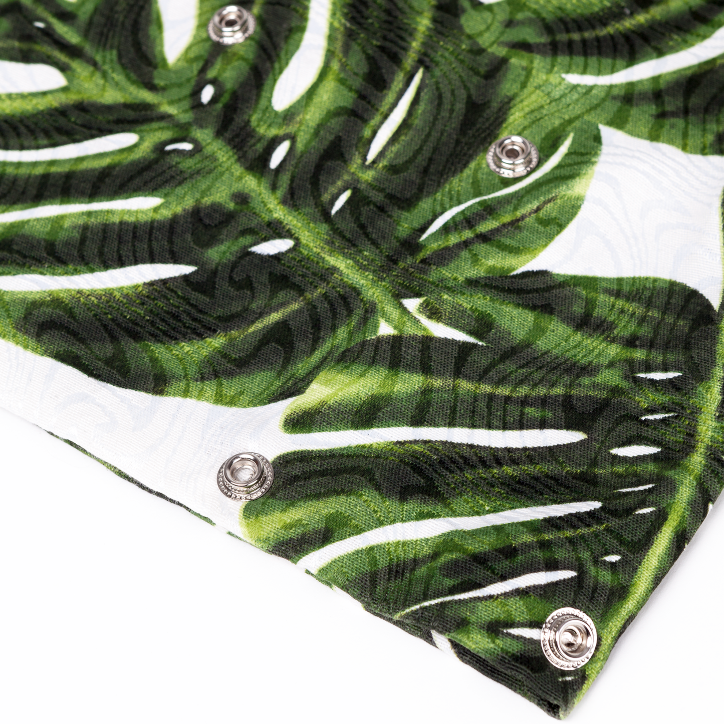 Sama Monstera